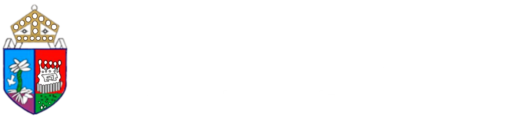 Diocese Of Lagos